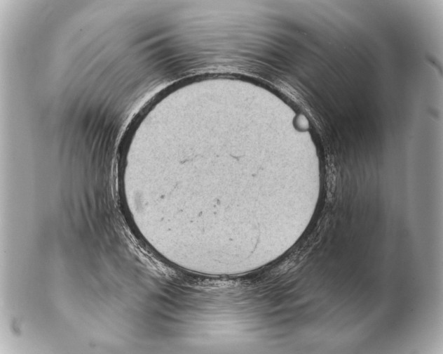 X0000102401076200808291440