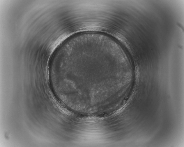 X0000102401077200808291440