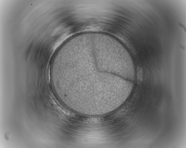 X0000102401078200808291440