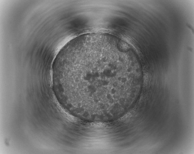 X0000102401079200808291440