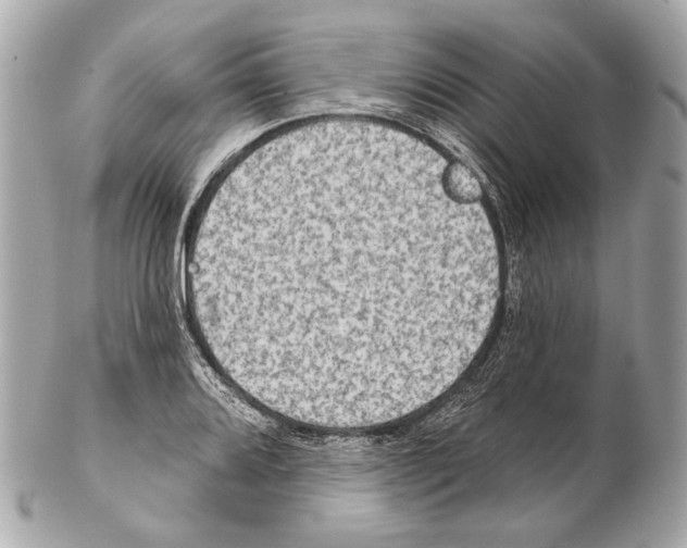 X0000102401080200808291440