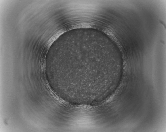 X0000102401081200808291440