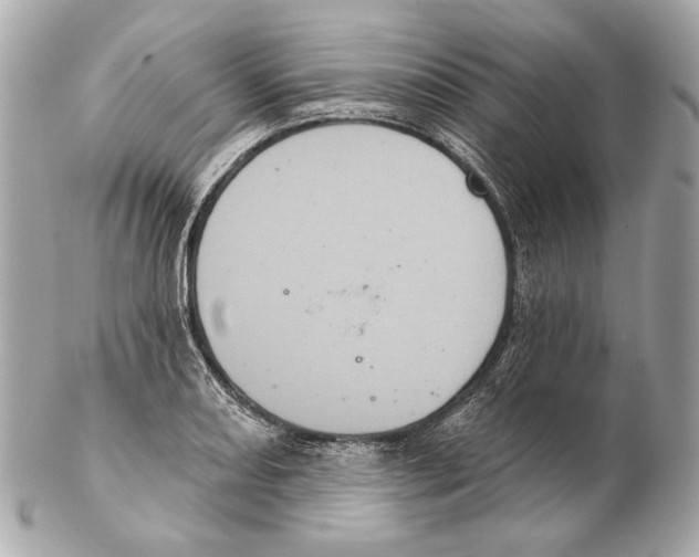 X0000102401082200808291440