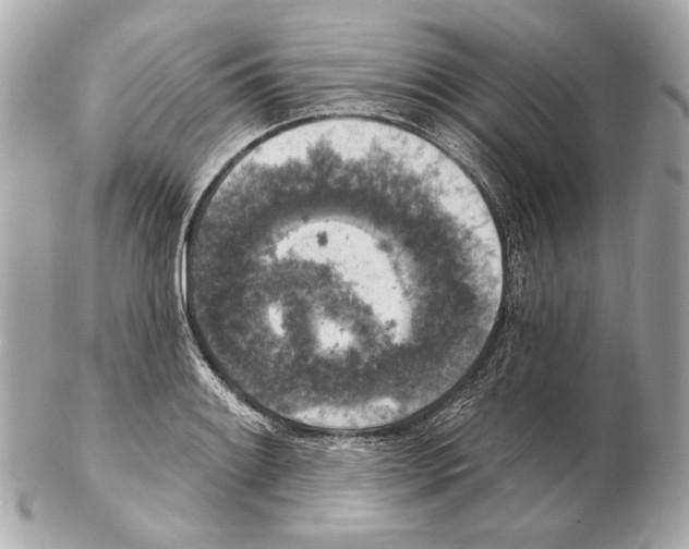 X0000102401084200808291440