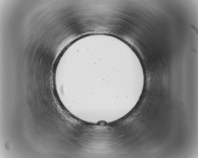 X0000102401085200808291440
