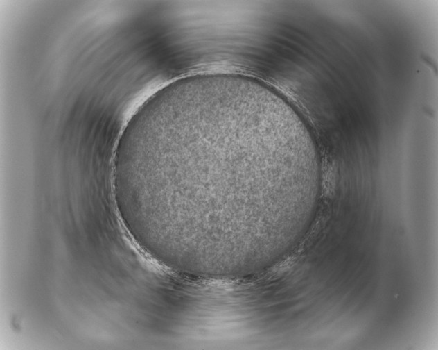 X0000102401086200808291440