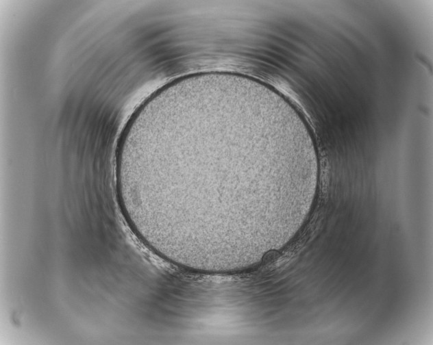 X0000102401088200808291440