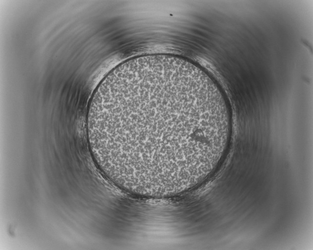 X0000102401089200808291440