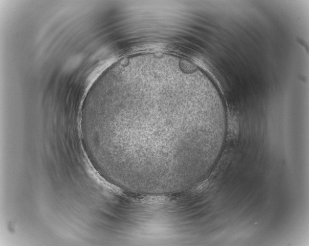 X0000102401090200808291440