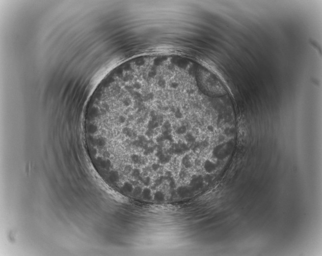 X0000102401091200808291440