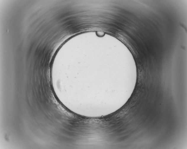 X0000102401092200808291440