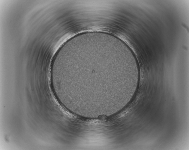 X0000102401093200808291440