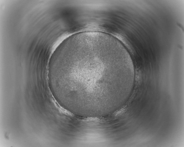 X0000102401094200808291440