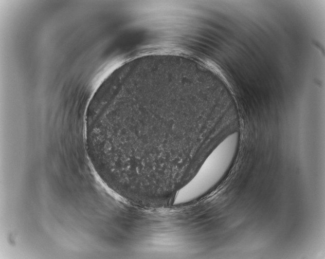 X0000102401095200808291440