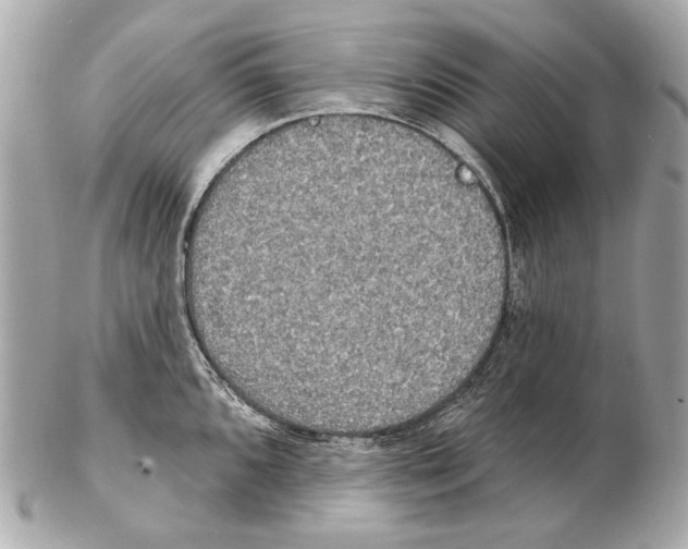 X0000102401096200808291440