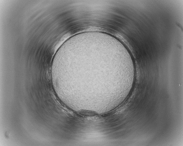 X0000102401097200808291440