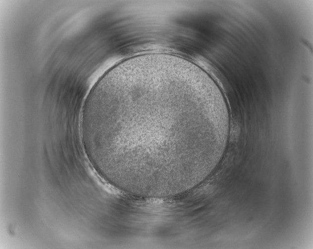 X0000102401098200808291440