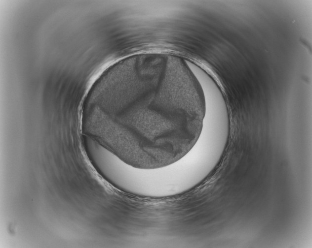 X0000102401099200808291440