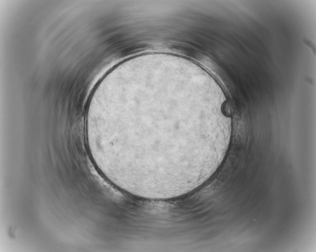 X0000102401100200808291440