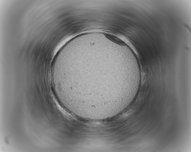 X0000102401101200808291440