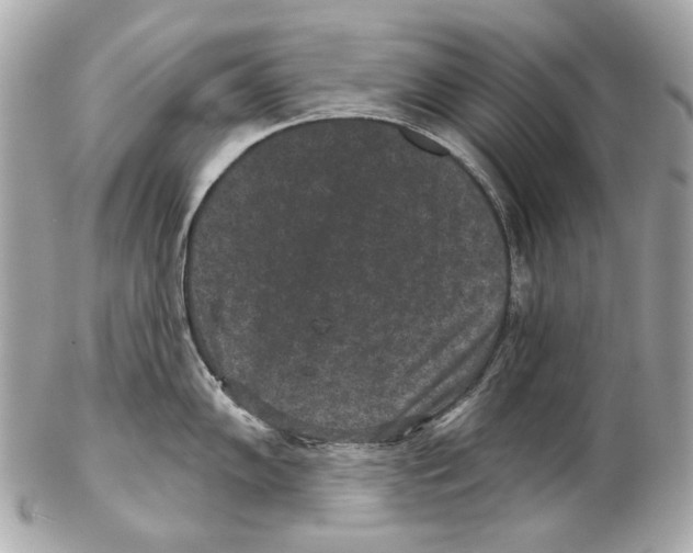 X0000102401102200808291440