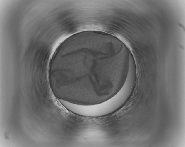 X0000102401104200808291440