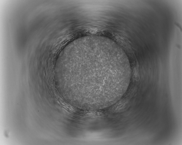 X0000102401105200808291439