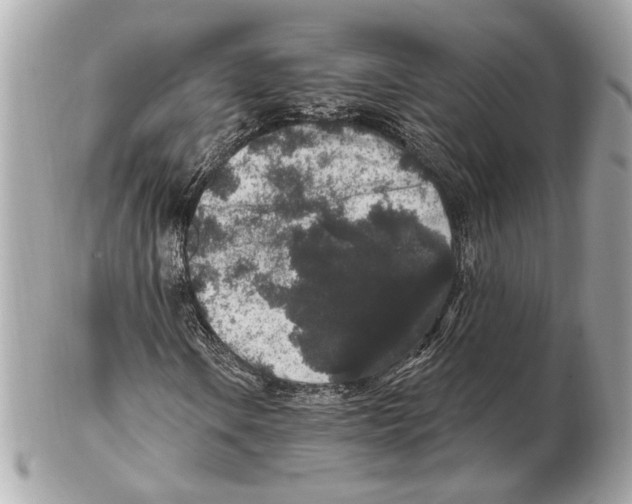 X0000102401106200808291439