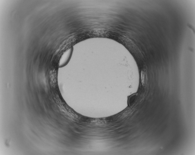 X0000102401107200808291439