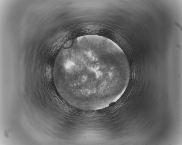 X0000102401108200808291439