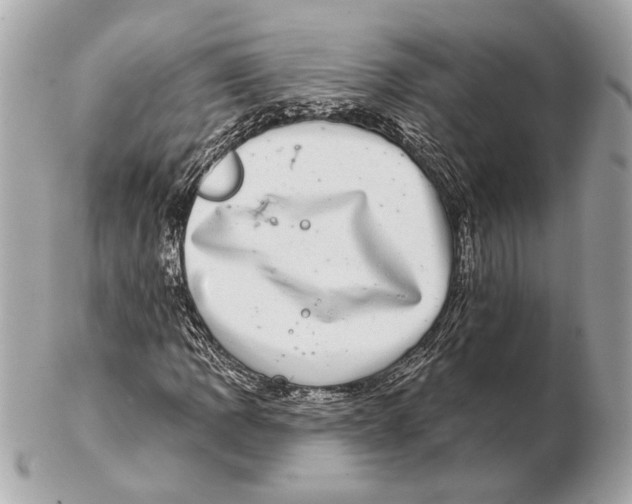 X0000102401109200808291439