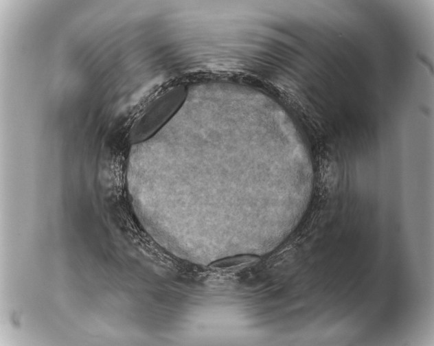 X0000102401110200808291439