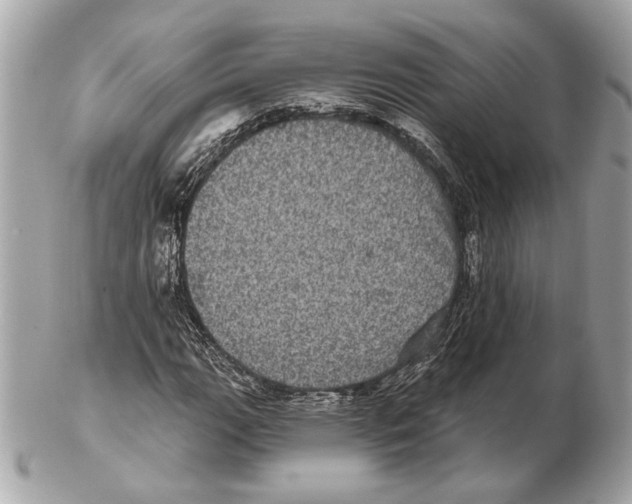 X0000102401111200808291439