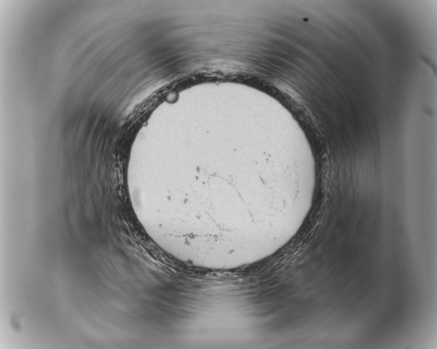 X0000102401112200808291439