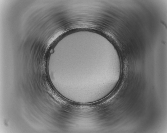 X0000102401114200808291439