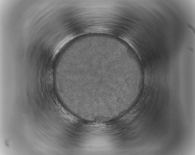 X0000102401115200808291439