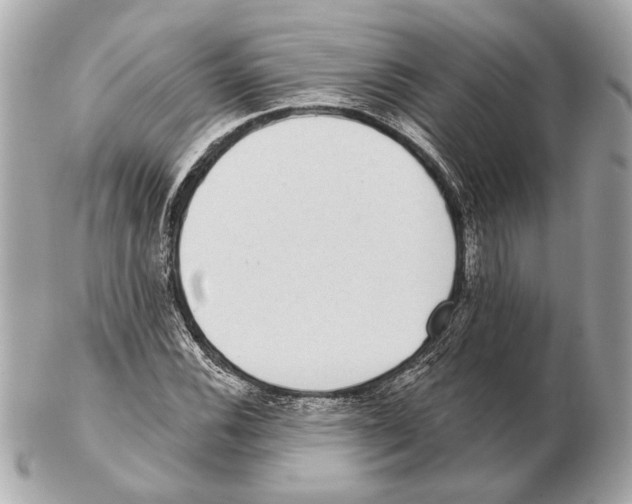 X0000102401116200808291439