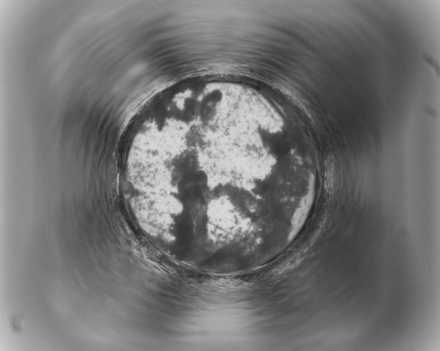 X0000102401117200808291439