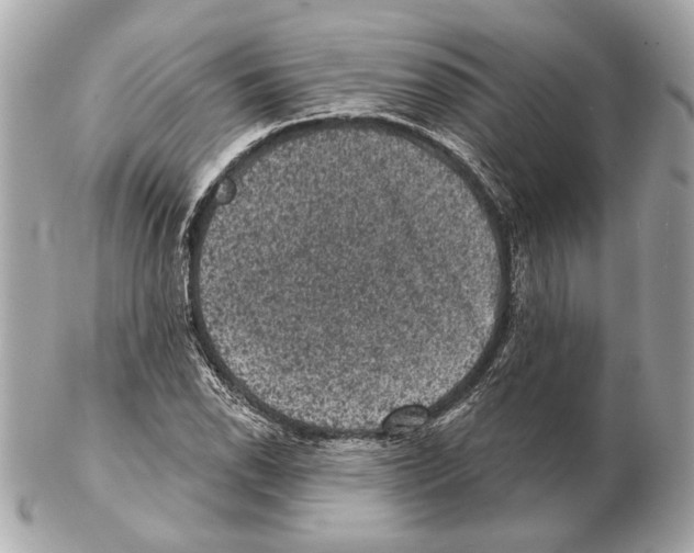 X0000102401118200808291439