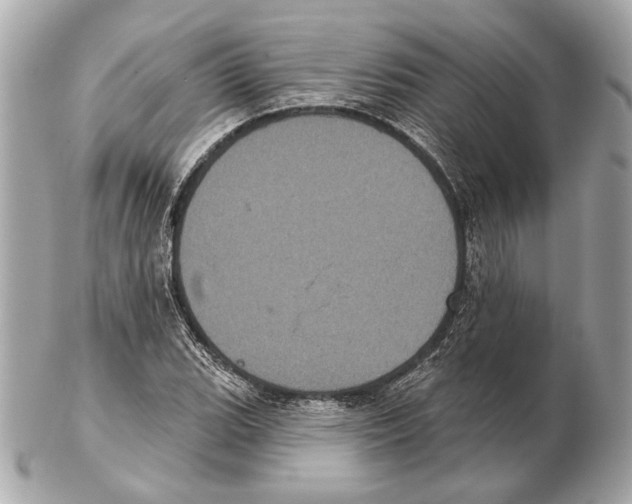 X0000102401119200808291439