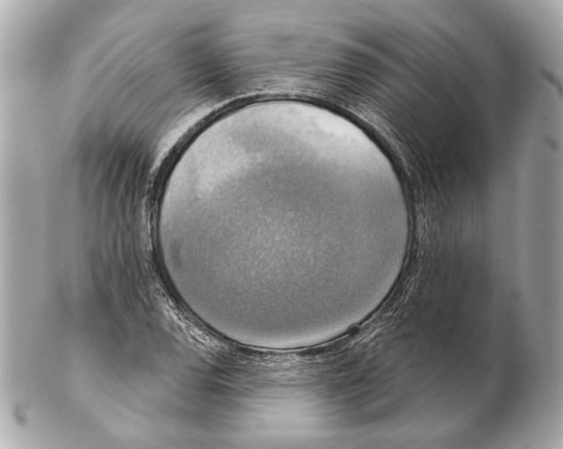 X0000102401120200808291439