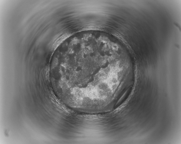 X0000102401121200808291439