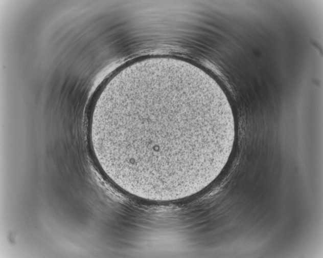 X0000102401122200808291439