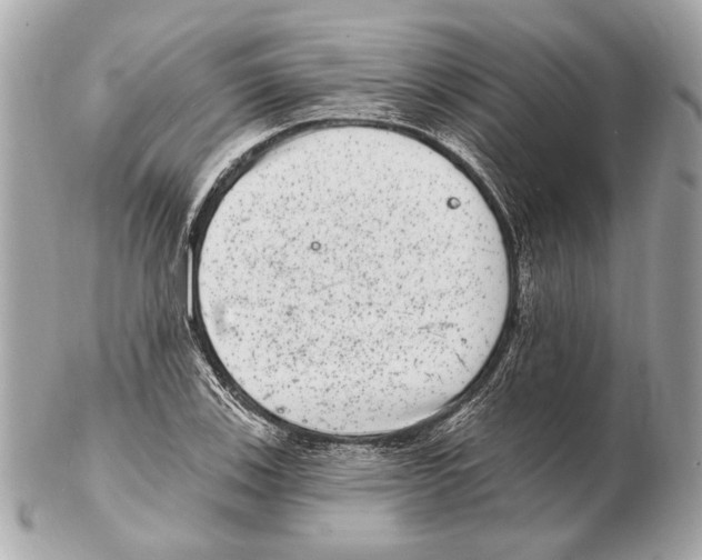 X0000102401123200808291439