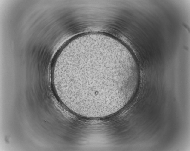 X0000102401124200808291439