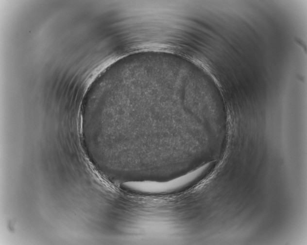 X0000102401125200808291439