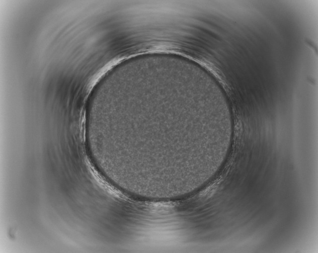 X0000102401126200808291439