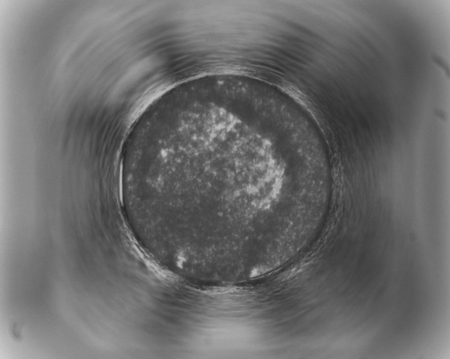 X0000102401127200808291439