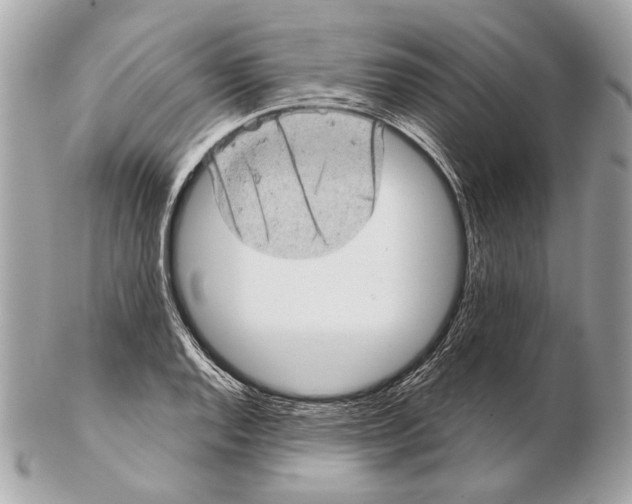 X0000102401128200808291439