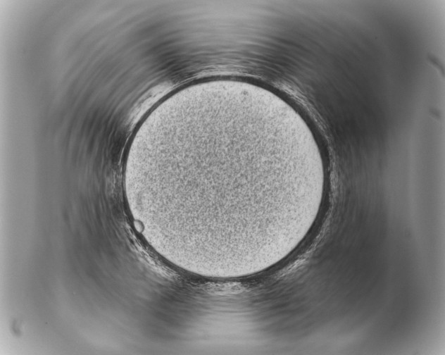 X0000102401129200808291439